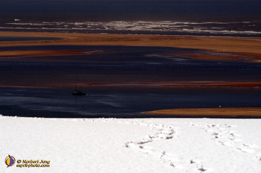 Nom de l'image : D1112186-nef-01_(c)Norbert-JUNG — Description :